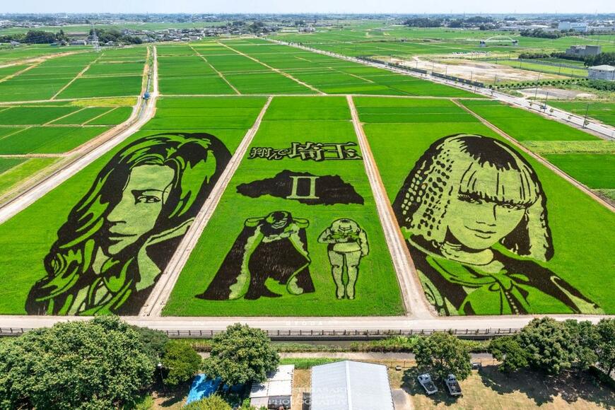 埼玉県で撮影された田んぼ　そこに描かれていたのは「翔んで埼玉II」のアートだった