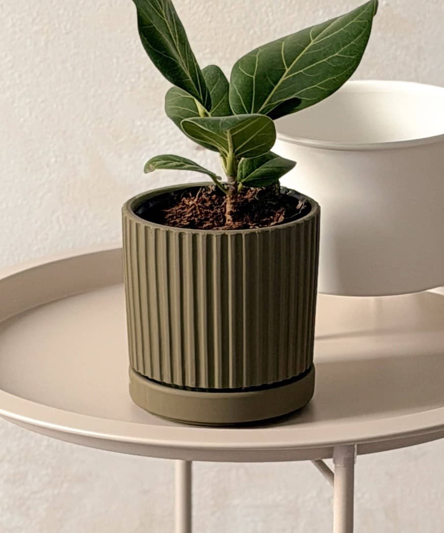 出所:パルグループ公式ファッション通販サイト ラインポット3号