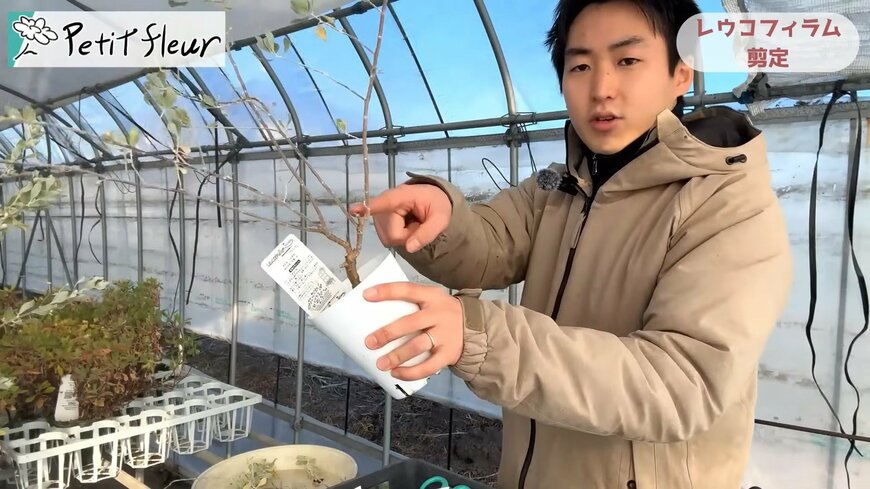 プチ・フルール（@petit_fleur）さん投稿動画のキャプチャ