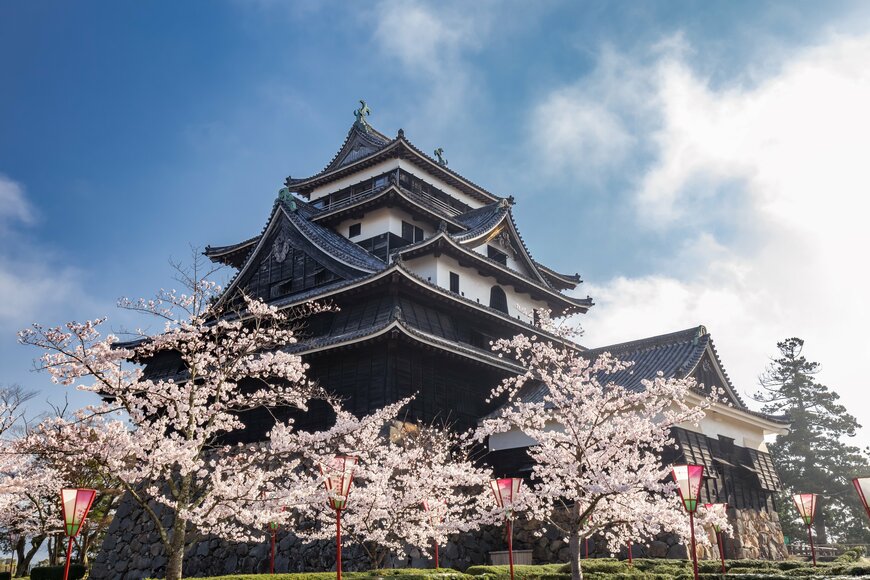 桜に彩られた松江城