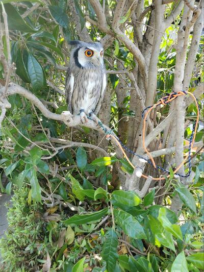 投稿写真のワンシーン