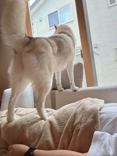 投稿の画像