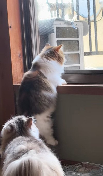 投稿の画像