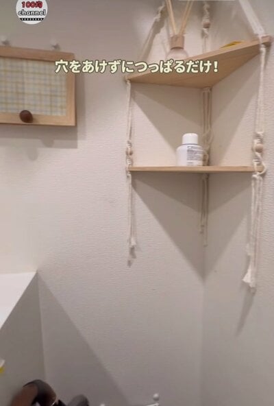 投稿の画像