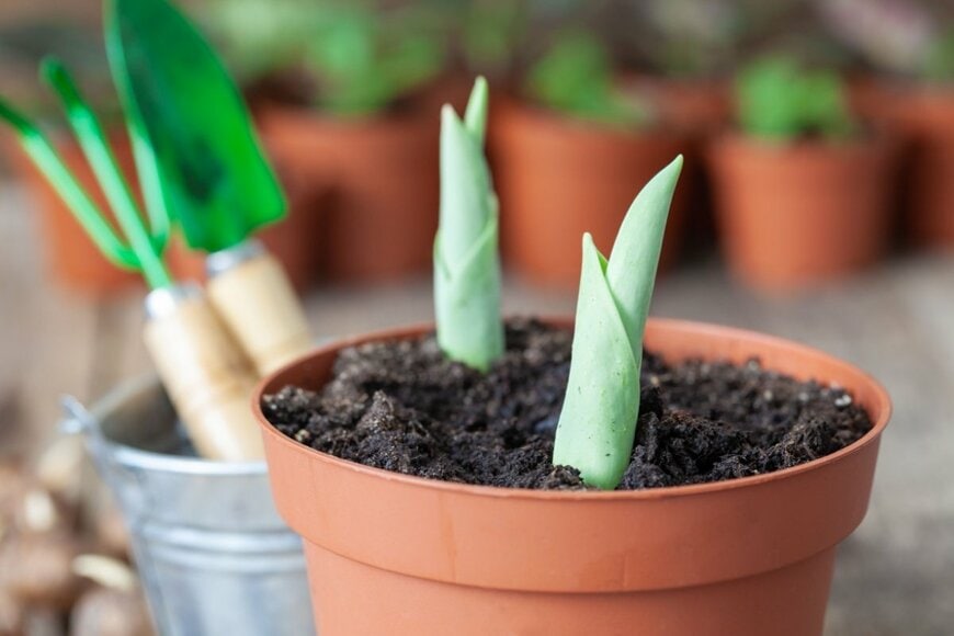 LN team/shutterstock.com