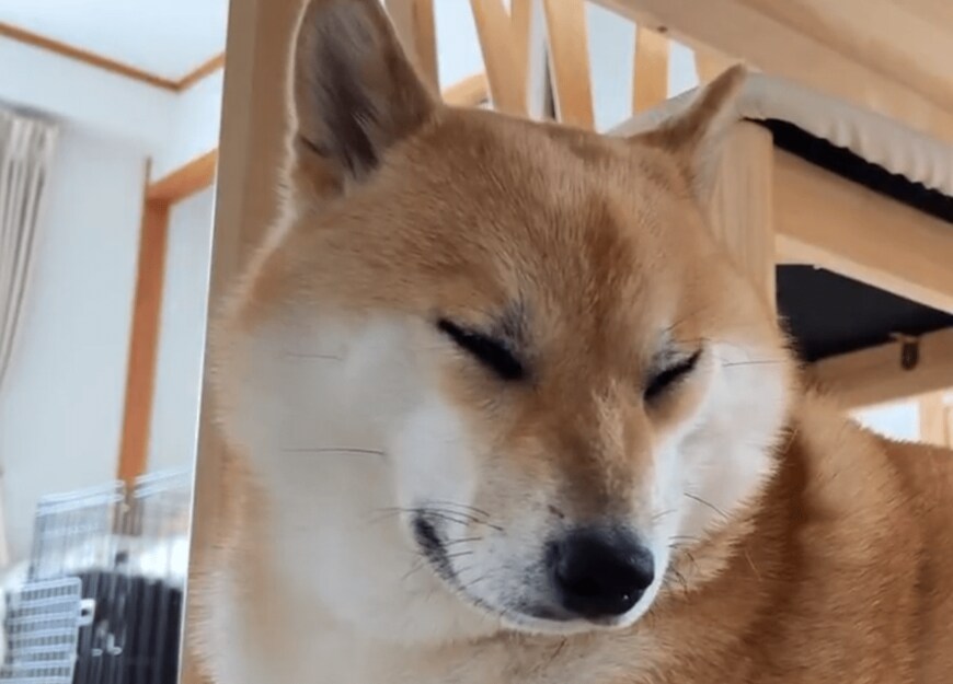 出所：@fufufufufu_ta