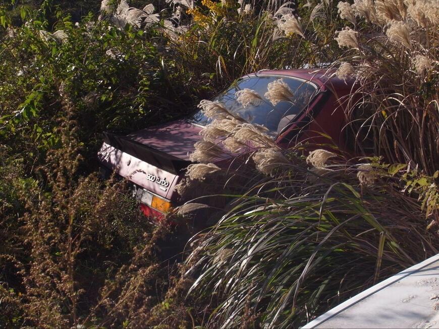 出所：@81busbbou6