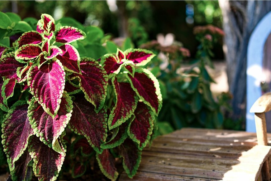 Mukhanova/shutterstock.com