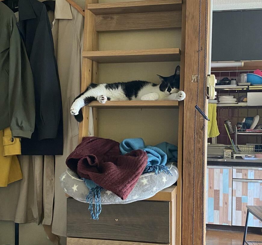 出所：@00shitemita