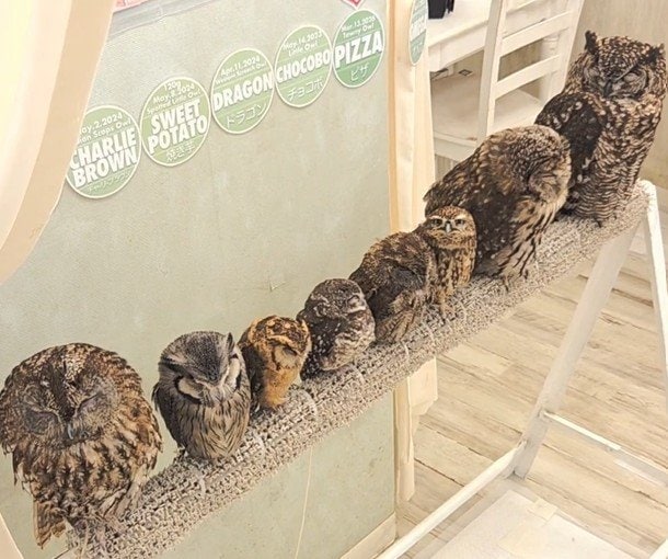 ジッと送られた視線にホッコリ