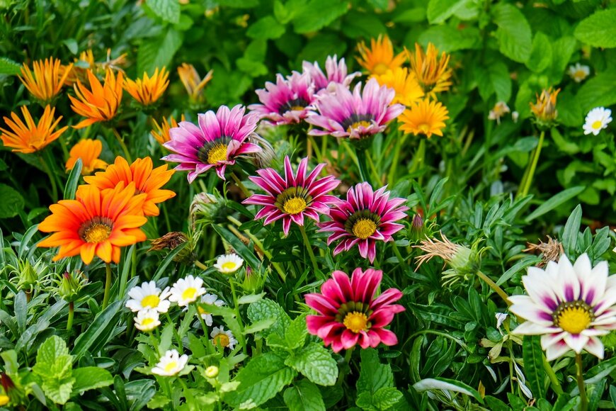 Panwasin seemala/Shutterstock.com