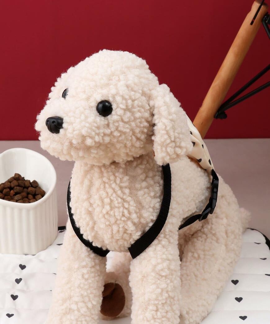 出所：パルグループ公式ファッション通販サイト 3COINS お散歩リュック