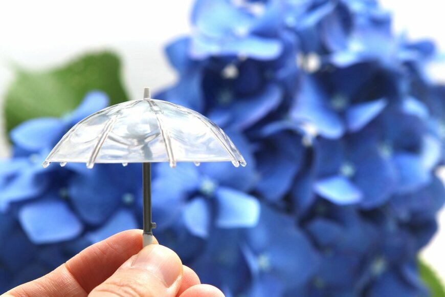 many wisteria/shutterstock.com