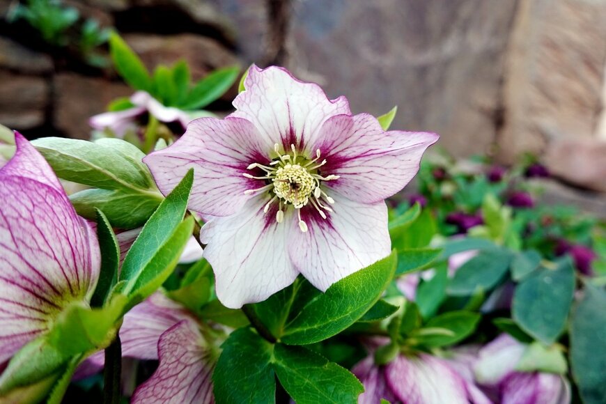 Bildagentur Zoonar GmbH/shutterstock.com