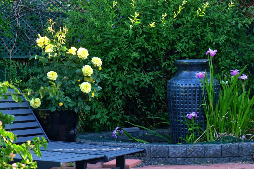 Milleflore Images/Shutterstock.com