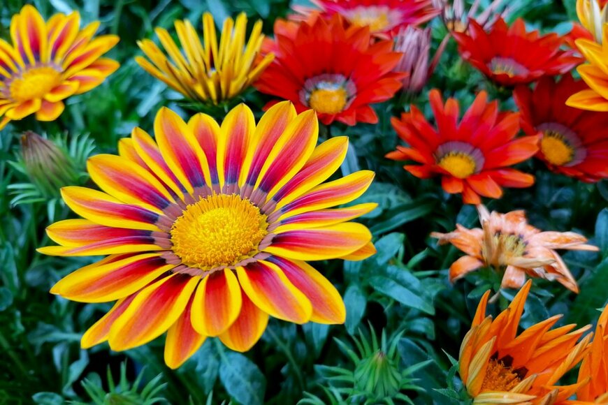 BeataGFX/shutterstock.com