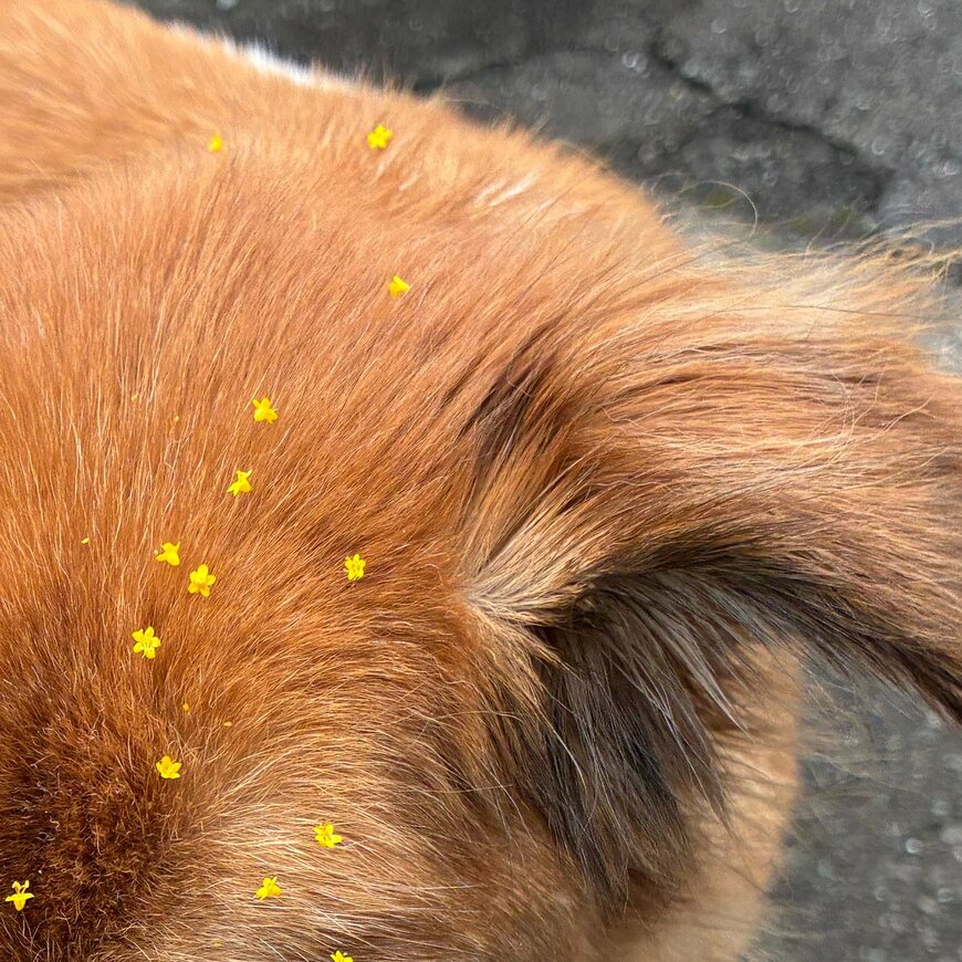 偶然おしゃれな装いに変身