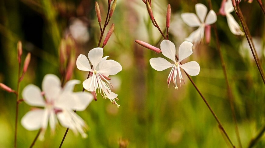 James d'Almeida/shutterstock.com