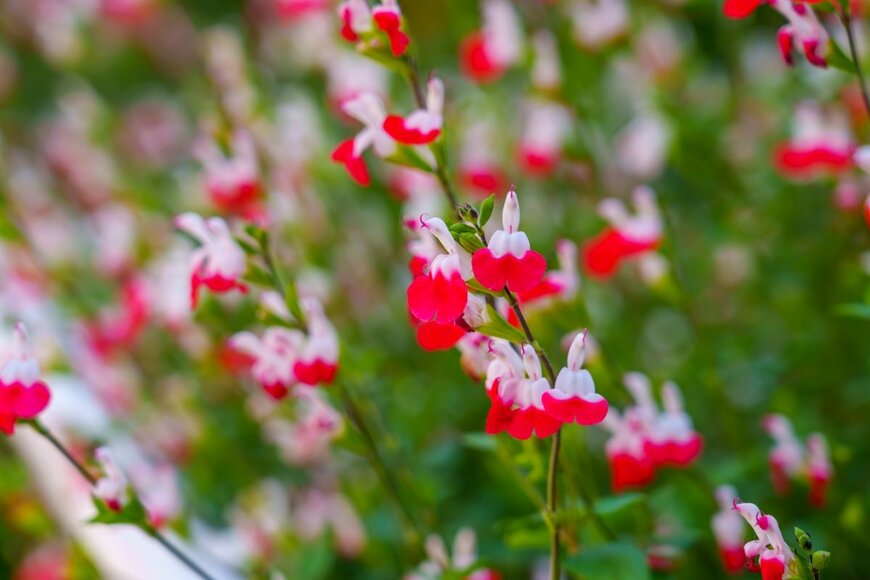 Pavel105/shutterstock.com