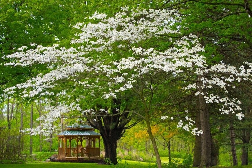 William Reagan/istockphoto.com