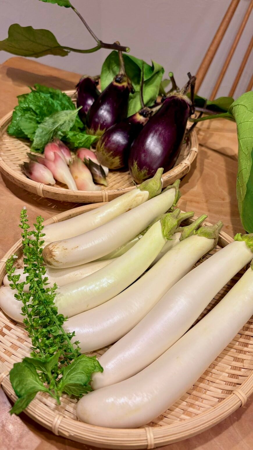 家庭菜園で収穫した立派な野菜たち