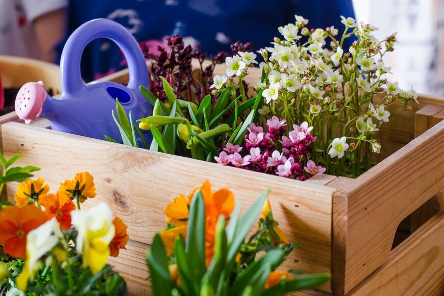 Rudenko Alla/Shutterstock.com