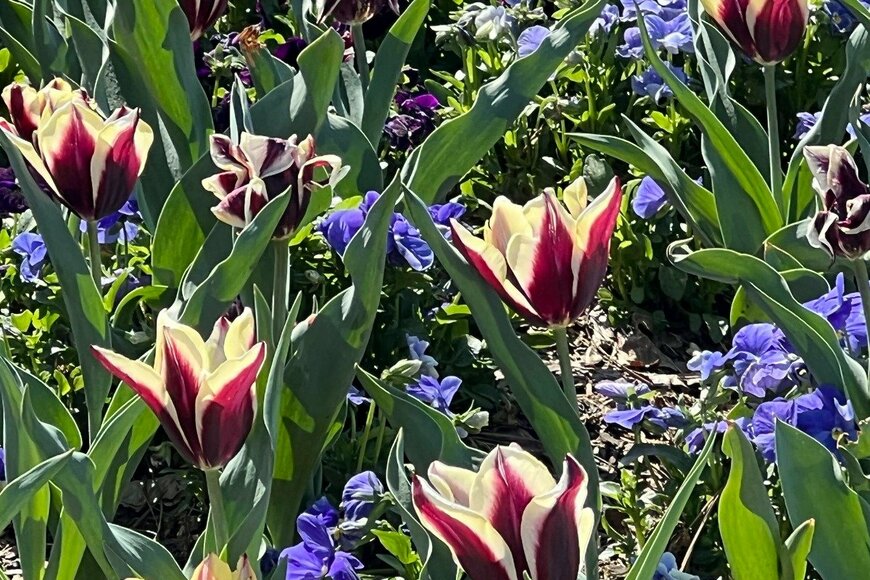 Jennifer Stein Seay/istockphoto.com