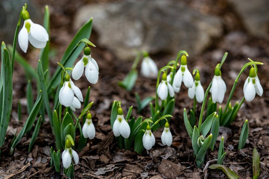 Billy_Fam/istockphoto.com