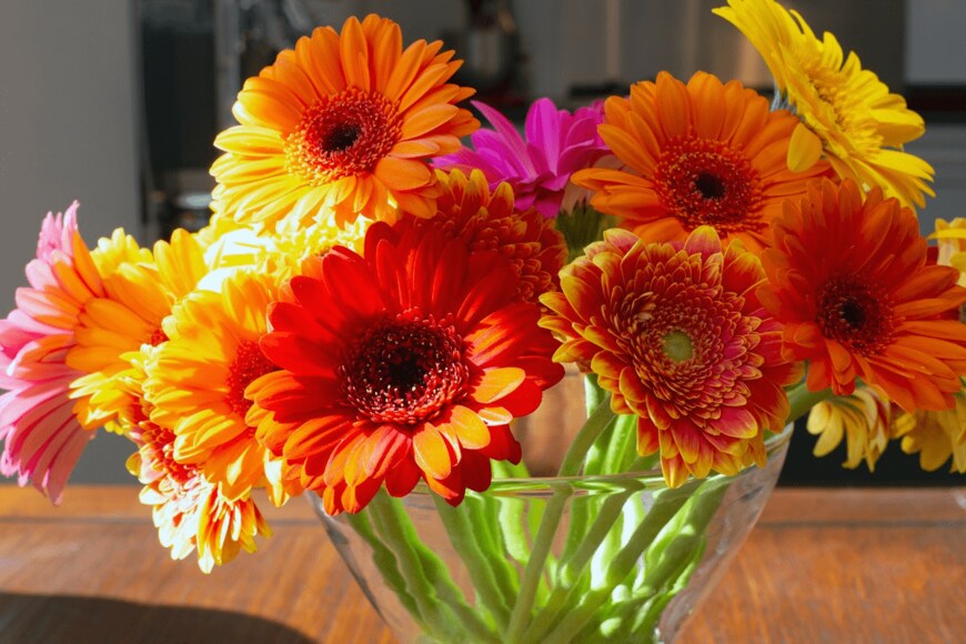 cerro_photography/istockphoto.com