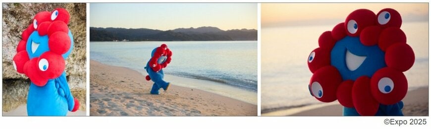 出所：株式会社フェリシモ