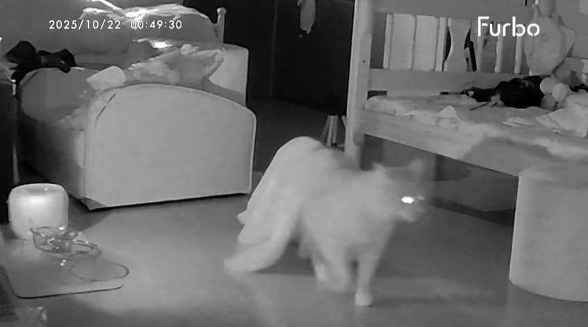 出所：＠monburan_sanpo