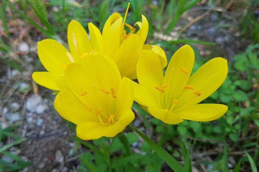 emer1940/istockphoto.com