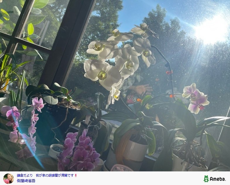 假屋崎省吾のAmebaブログ投稿