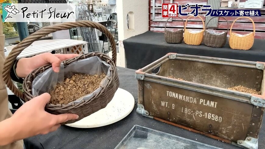 プチフルール 園芸Ch(@petit_fleur)さん投稿動画のキャプチャ