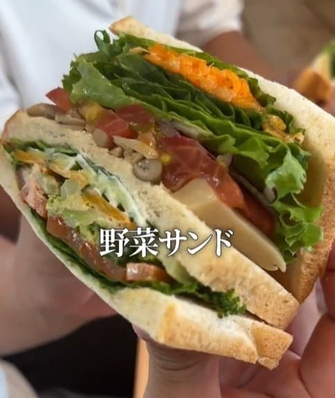 地元食材がたっぷり！「道の駅さかい」の野菜サンド
