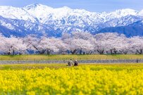 【70歳代の貯蓄額】平均と中央値はいくら？「貯蓄ゼロ」の世帯は何パーセントなのか