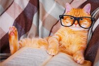 円熟＆ゆとりの60代。みんな1000万円貯めている？