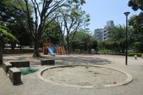 公園の周辺で見つけて撮影した「珍しい紫陽花」　まさかの色合いに「初めて見た」「これはラッキー」