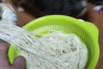 そうめんを「盗み食いする犬」　完全に覚悟が決まった様子に「泥棒ってレベルじゃない」