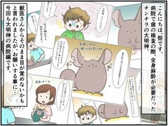 麻酔から目覚めることはできるのか？命がけの検査に挑んだチンチラの話【チンチライフ24話】