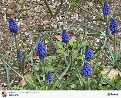 假屋崎省吾の公式ブログ投稿