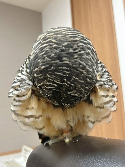 投稿の画像