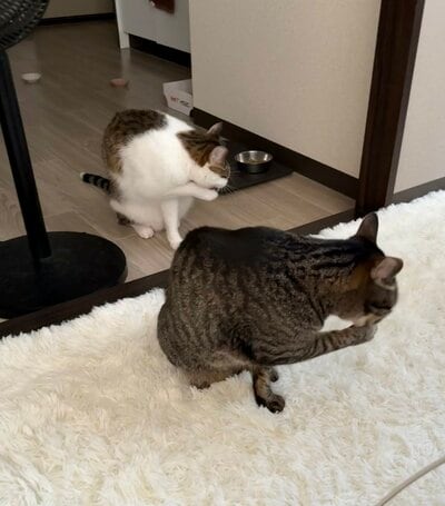 仲の良さを感じるシンクロ姿にほっこり