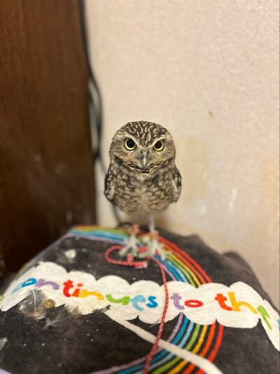 投稿写真のワンシーン