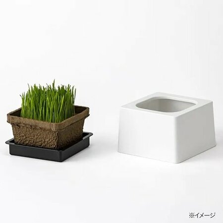 カインズ ペットグラス鉢カバー HAJIKU