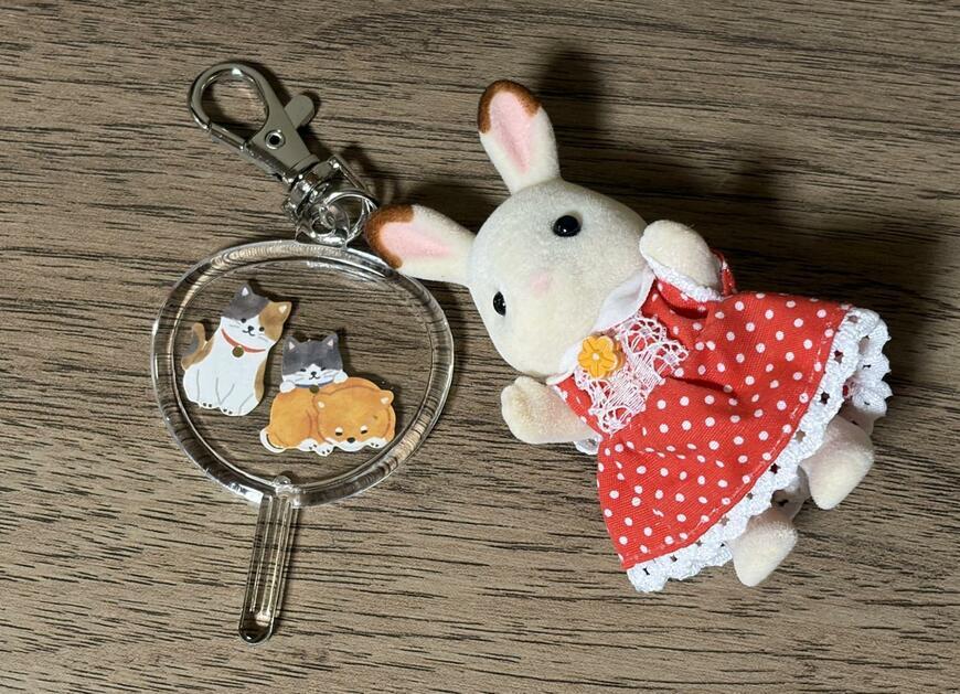 筆者撮影（ダイソー、うちわ型フォトキーホルダー）