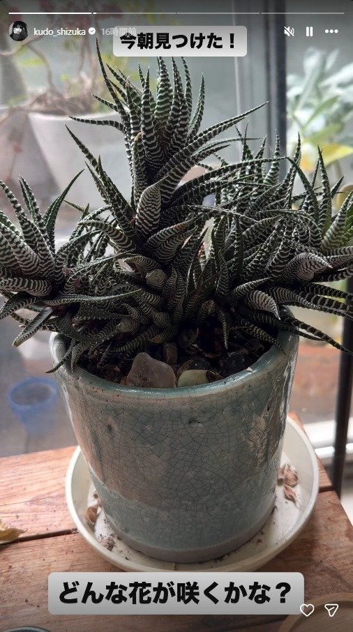 出所：工藤静香のInstagram（＠kudo_shizuka）　参照日：2026年4月10日