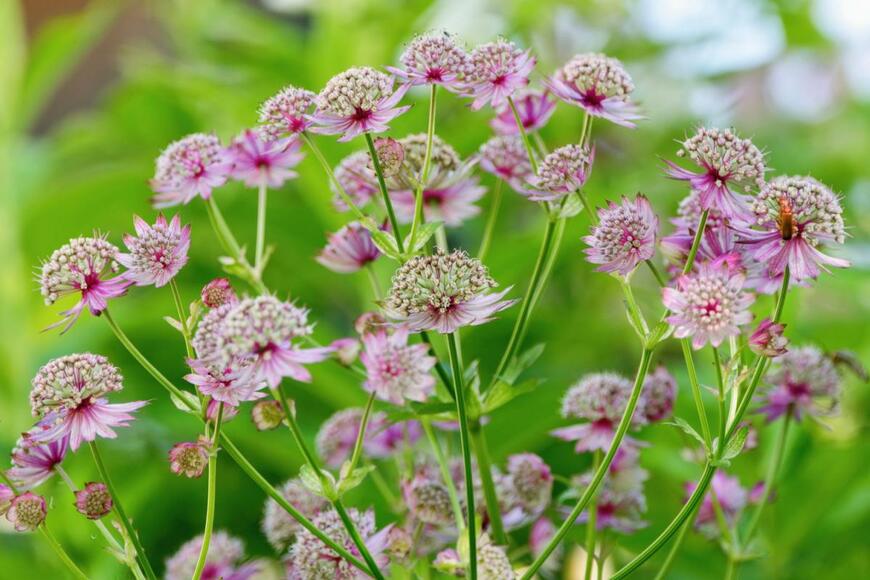 Tunatura/shutterstock.com