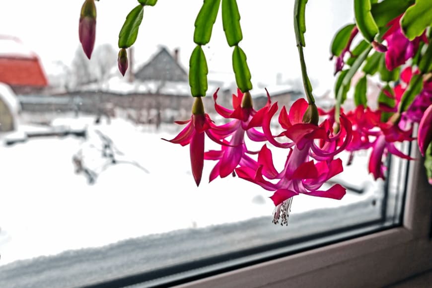 petrovval/istockphoto.com