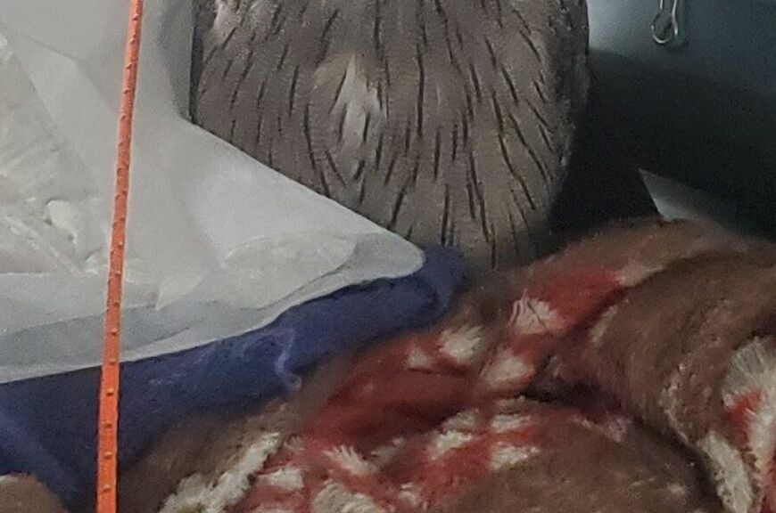 出所：@joker1999jr